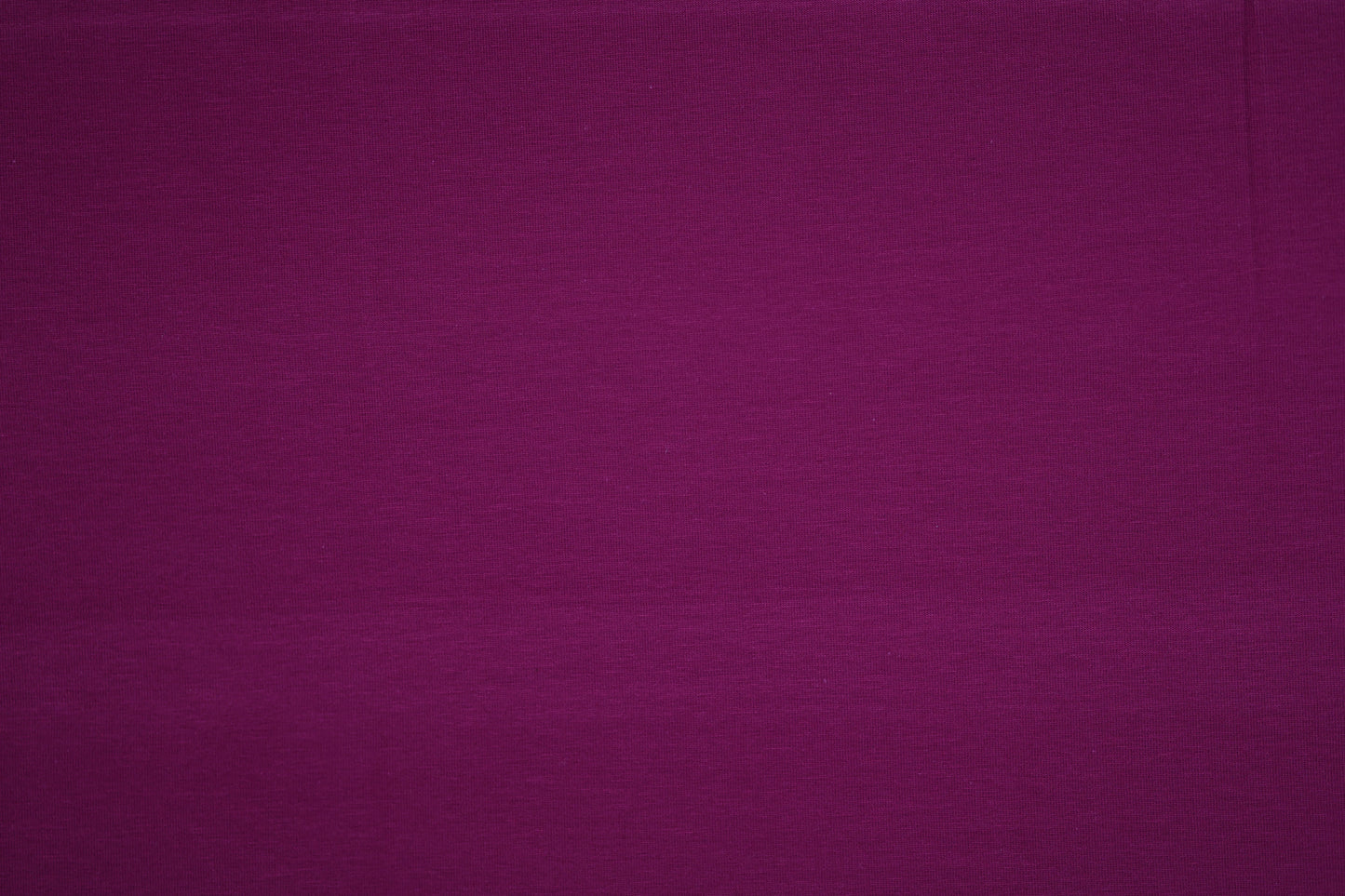 Detailaufnahme: Baumwolljersey Beere – elastisch & bequem