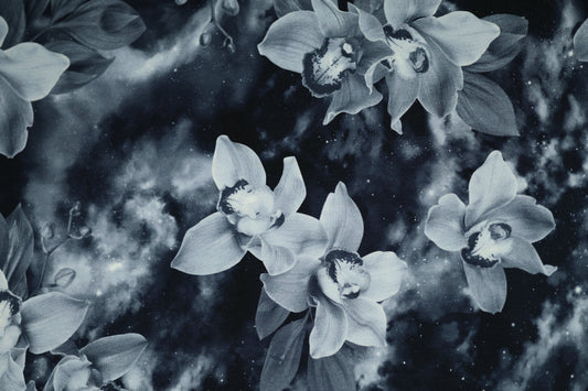 Baumwollstoff mit Motiv: orchideen im weltraum-look – weich & kindgerecht.