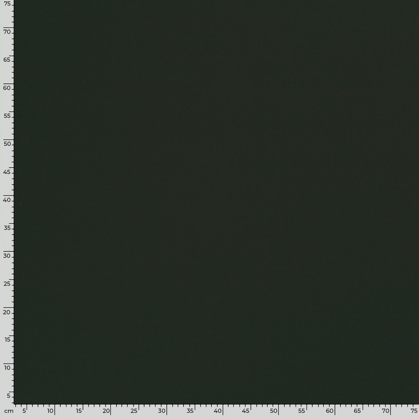Burlington Polyester Stoff Dunkelgrün – Rolle