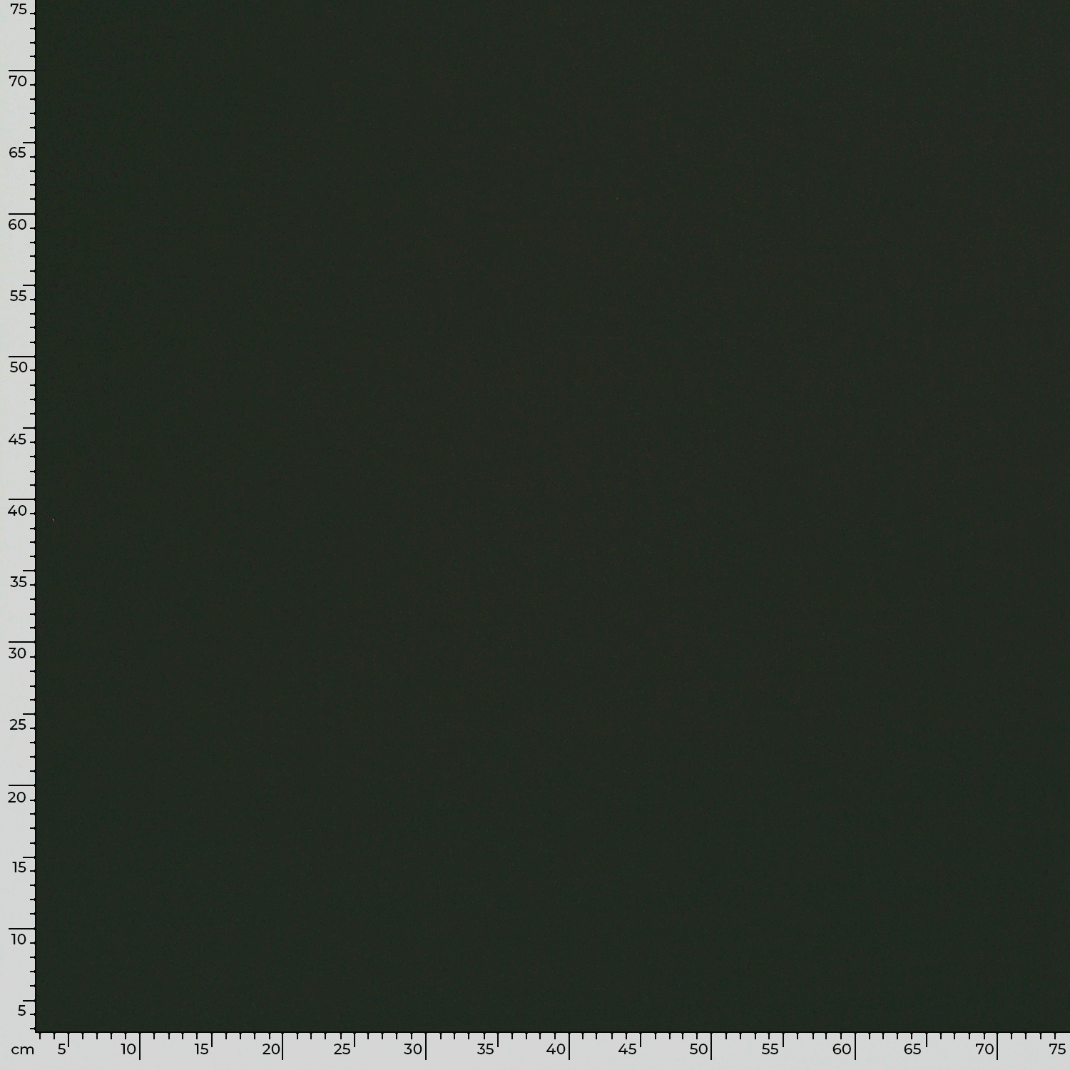 Burlington Polyester Stoff Dunkelgrün – Rolle
