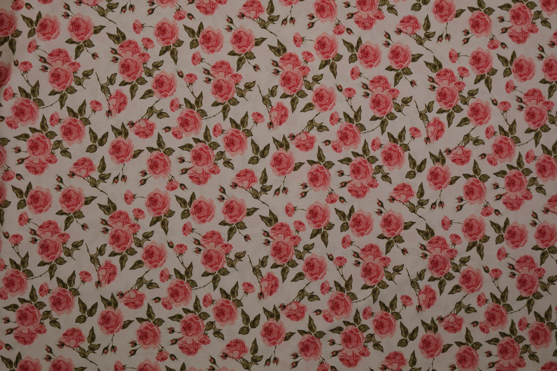 Close-up Baumwolldruck Rosen Rosa – feine Webware 140 cm breit für romantische Nähprojekte