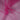 Tüll – Fuchsia