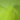 Tüll – Neonlime