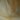 Tüll – Goldbeige