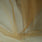 Tüll – Goldbeige