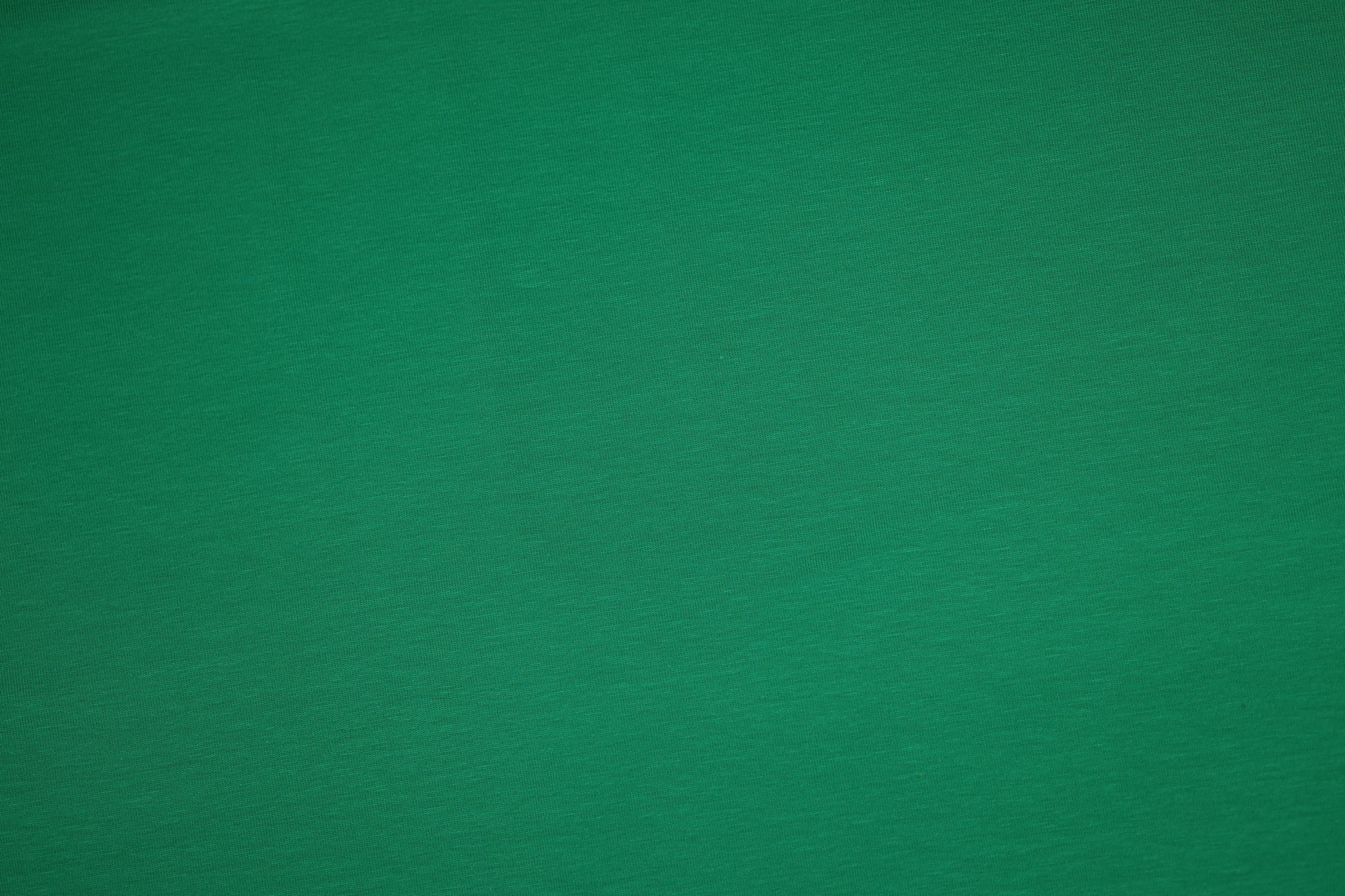 Farbintensiver Baumwolljersey in Grasgrün – perfekt für DIY