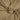 Viskose Jersey – Cappuccino Beige, weich & elastisch