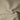 Wollstoff – Sand