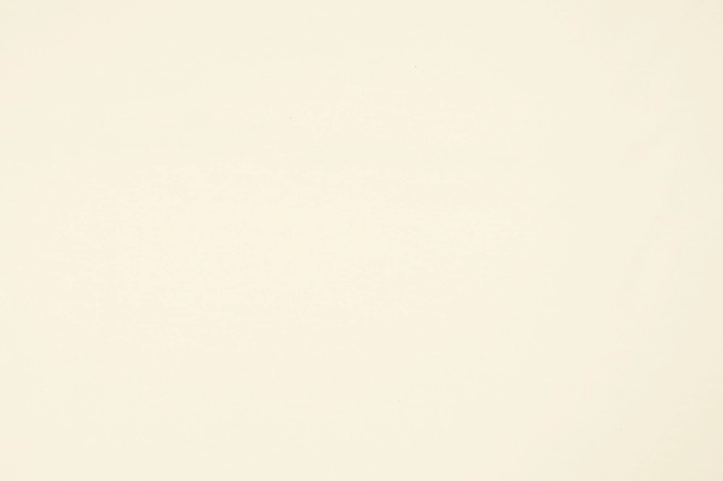 Baumwolljersey Naturweiß – weich, elastisch & hautfreundlich